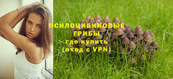 ECSTASY Алексеевка