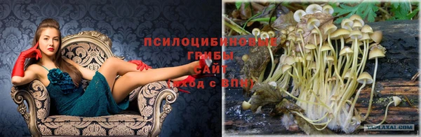 метадон Магас