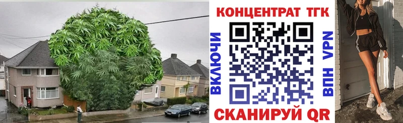 Дистиллят ТГК THC oil где можно купить наркотик Новошахтинск