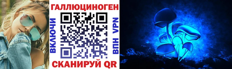 Псилоцибиновые грибы GOLDEN TEACHER  кракен рабочий сайт  Новошахтинск  хочу наркоту 