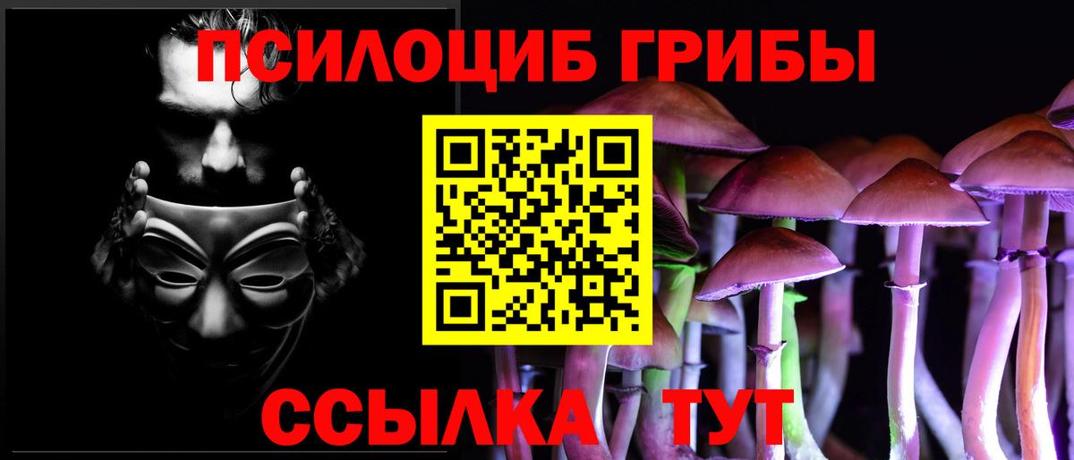 Новошахтинск  Псилоцибиновые грибы Magic Shrooms  Вход с VPN 